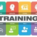Why your junior dev training model is obsolete and how to fix it cross-training-ISV